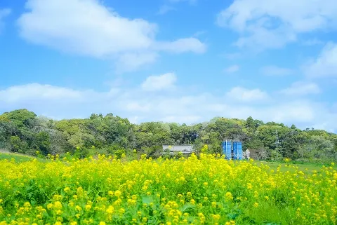 金村 美玖｜みくふぉと~MV編~（2021-05-15）｜2枚目