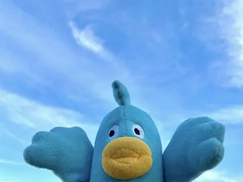 ポカ｜キテルヨ！（2021-08-11）｜6枚目