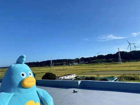 ポカ｜なんどでもなんどでも（2021-09-11）｜3枚目