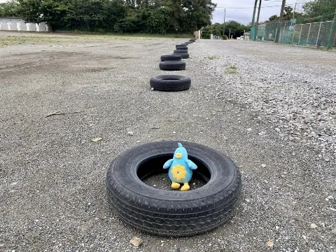 ポカ｜こえはる（2021-11-09）｜7枚目