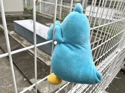 ポカ｜こえはる（2021-11-09）｜9枚目