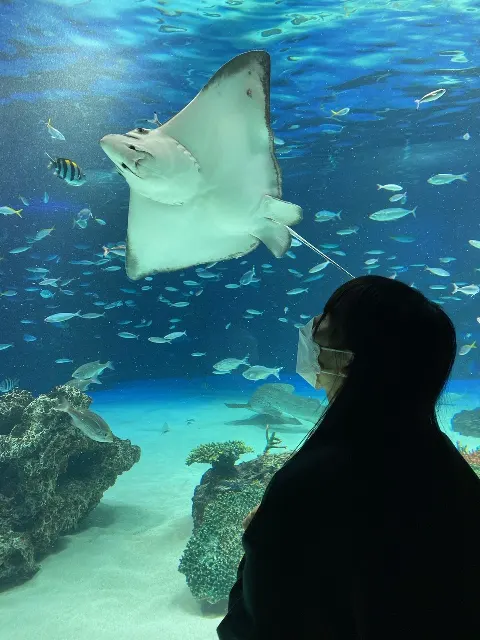 森本 茉莉｜水族館🐠（2022-01-08）｜2枚目