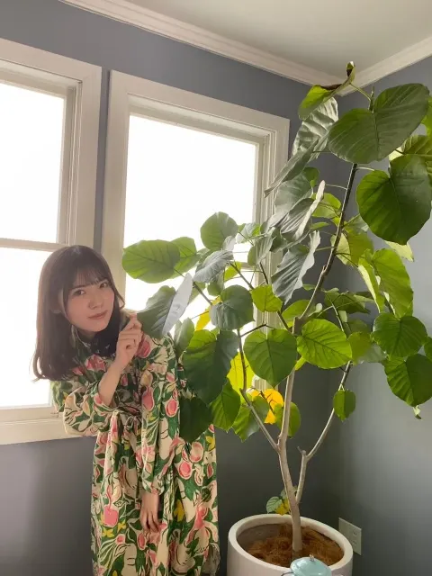 森本 茉莉｜モンステラには出会えなかったけど、モンステラを育てられている方とはお話できました。（2022-03-19）｜7枚目