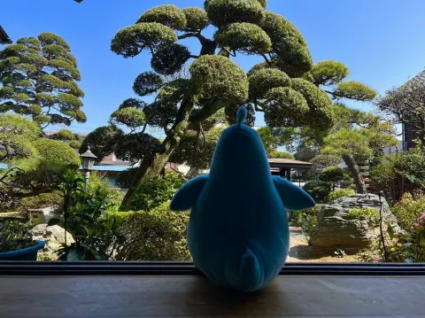 ポカ｜BFF（2022-05-02）｜9枚目