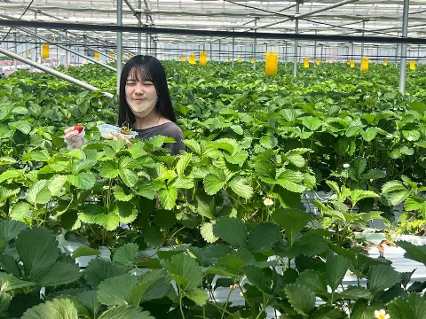 森本 茉莉｜芝桜（2022-05-10）｜4枚目