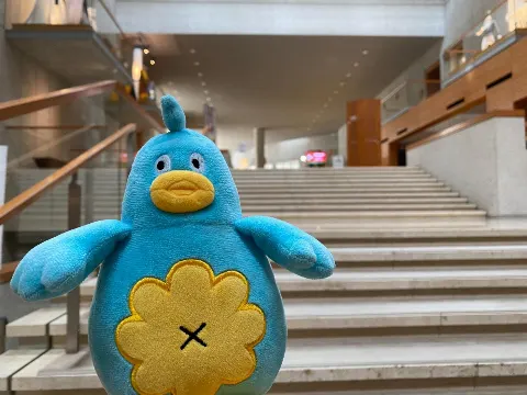 ポカ｜幕が上がる（2022-05-16）｜4枚目