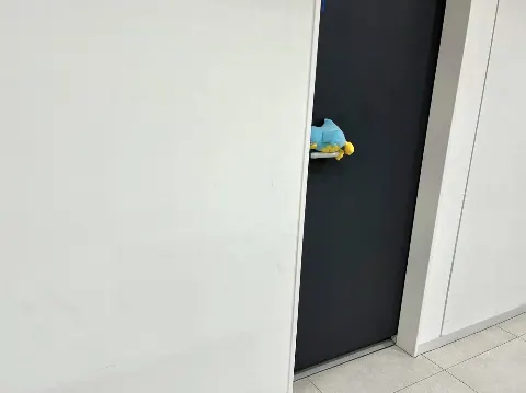 ポカ｜カリカリベーコンが好き（2022-06-11）｜4枚目