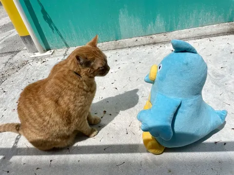 ポカ｜青空まだ？（2022-06-14）｜9枚目