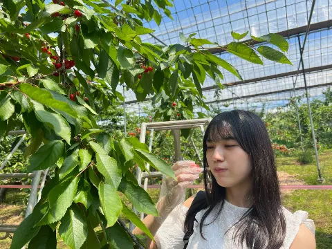 森本 茉莉｜山梨県へお出かけ(*´`*)（2022-07-16）｜5枚目