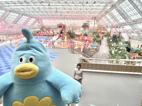 ポカ｜いーじどゅーだーんす（2022-07-26）｜7枚目