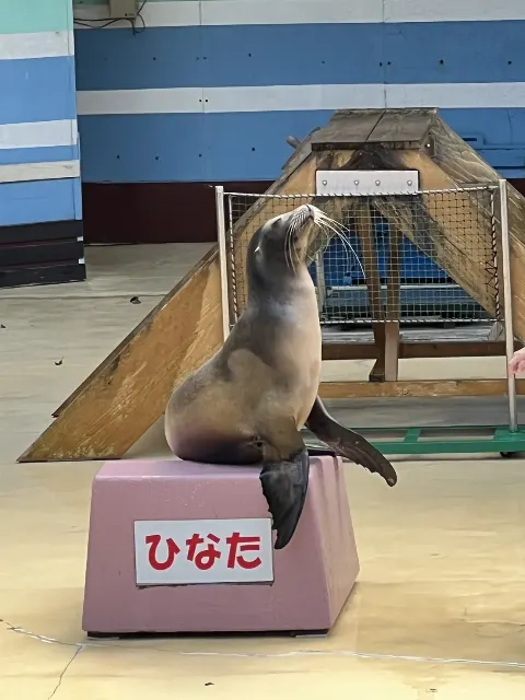 森本 茉莉｜旅ブログ ※ブログタイトル募集中です（2022-09-06）｜3枚目