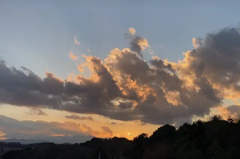 清水 理央｜はろー2023少し長めのお年賀状🐇🌅 清水理央🔅（2023-01-09）｜3枚目