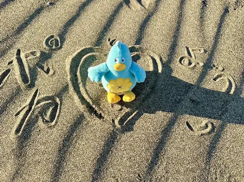 ポカ｜季節はずれの海岸物語（2023-01-24）｜3枚目