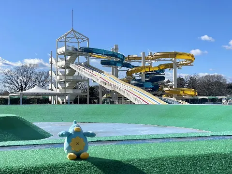 ポカ｜鳥にはきびしいさむさ（2023-01-27）｜3枚目