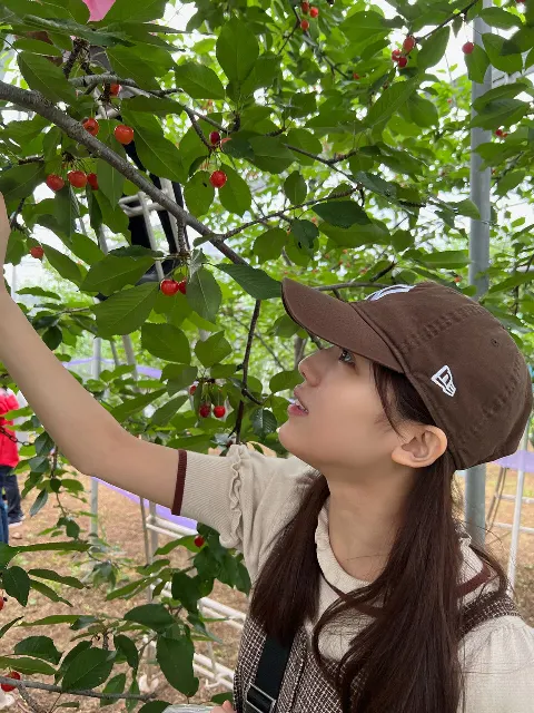 森本 茉莉｜Super genius（2023-10-02）｜3枚目