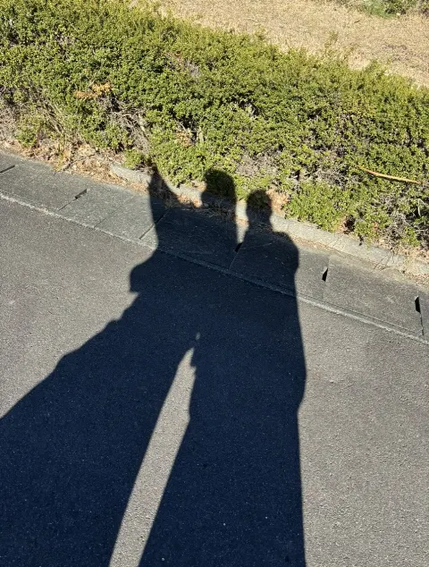 平尾 帆夏｜相棒コンビ de しずおかごはん旅🍃（2024-03-16）｜2枚目