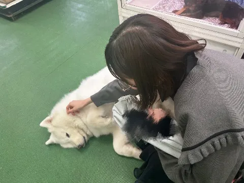 森本 茉莉｜So cute（2024-04-26）｜3枚目