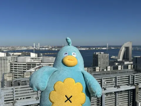 ポカ｜今日は言わずもがな（2024-05-08）｜8枚目
