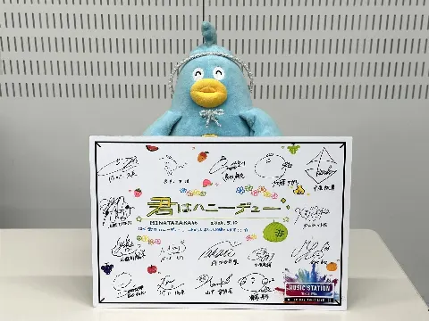 ポカ｜ポカも鳥なので（2024-06-03）｜7枚目