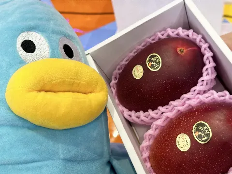 ポカ｜かんしゃの46じかん（2024-06-26）｜5枚目