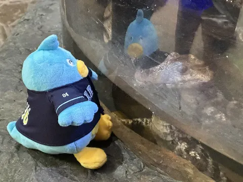 ポカ｜ポカをテキサスにつれてって（2024-09-05）｜7枚目