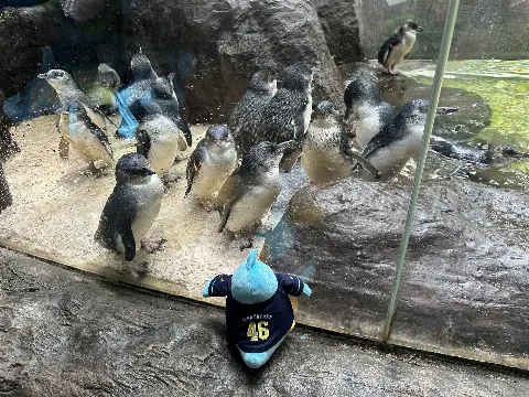 ポカ｜ポカをテキサスにつれてって（2024-09-05）｜8枚目
