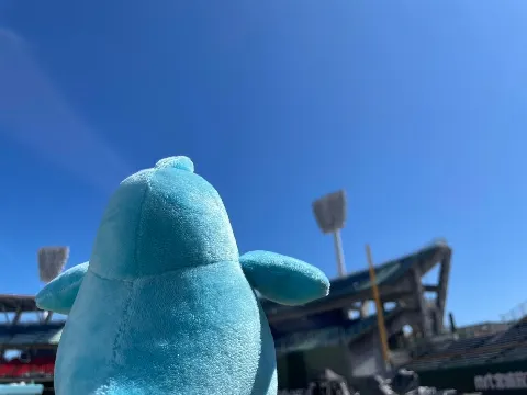 ポカ｜ポカの宮崎旅紀行（2024-09-15）｜12枚目