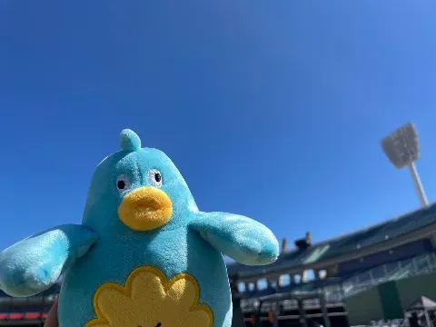 ポカ｜ポカの宮崎旅紀行（2024-09-15）｜13枚目