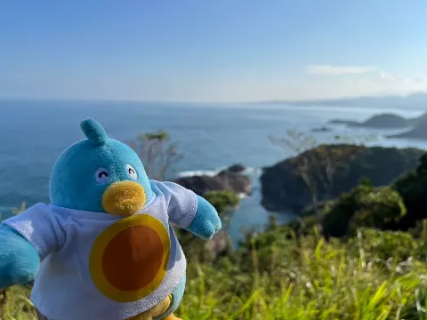 ポカ｜ポカの宮崎旅紀行（2024-09-15）｜20枚目