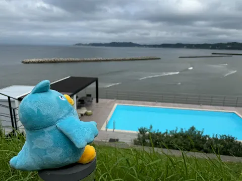 ポカ｜おげんきですか（再）（2024-11-14）｜4枚目