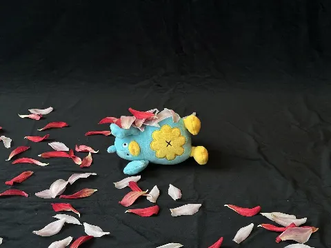 ポカ｜きょうは小坂とポカ（2024-11-16）｜4枚目