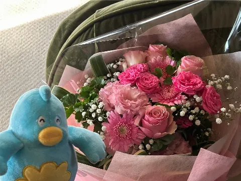 ポカ｜きょうはめいめいとポカ（2024-11-22）｜5枚目