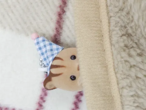 宮地 すみれ｜クリスマスの次の次の次の日（2024-12-28）｜11枚目