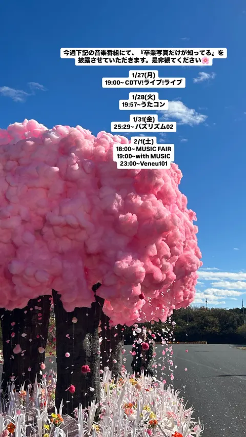 森本 茉莉｜伝えられなかった思いをそのまま眠らせがちですか？？（2025-01-31）｜12枚目