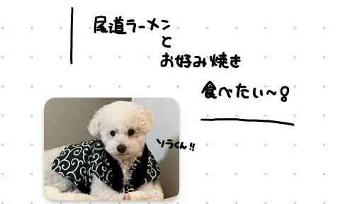 竹内 希来里｜見てほしいだなも！（2025-02-03）｜5枚目