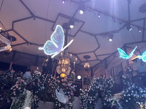 渡辺 莉奈｜🦋✿*:･ﾟ（2025-02-12）｜3枚目