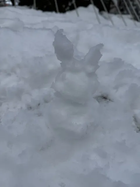 上村 ひなの｜北海道はデカかった（2025-02-22）｜7枚目