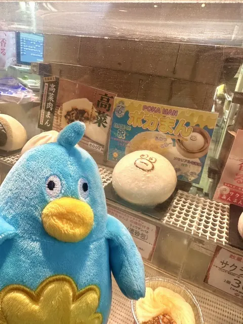 ポカ｜ポカさんぽ in横浜（2025-04-04）｜4枚目