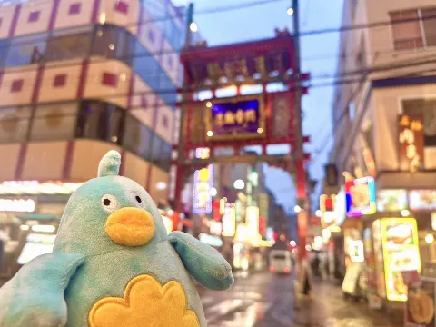 ポカ｜ポカさんぽ in横浜（2025-04-04）｜7枚目