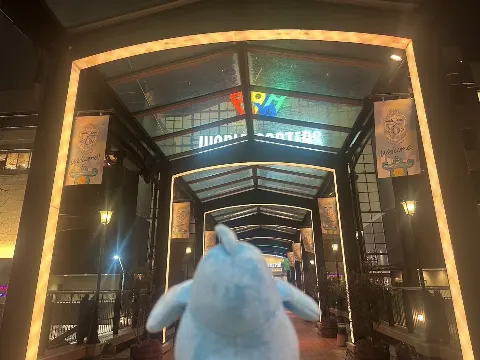 ポカ｜ポカさんぽ in横浜（2025-04-04）｜9枚目