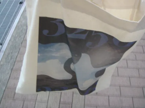 上村 ひなの｜横浜散歩、そしてSHOWROOMやります！#へんてこスイッチ（2025-04-08）｜4枚目