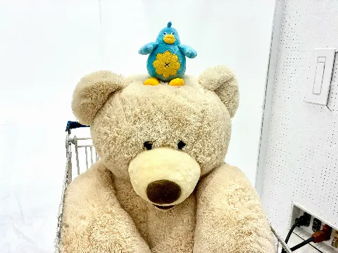 ポカ｜ふじしまじっく（2025-04-26）｜7枚目