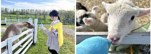 ポカ｜ポカ、こまる（2025-05-06）｜9枚目