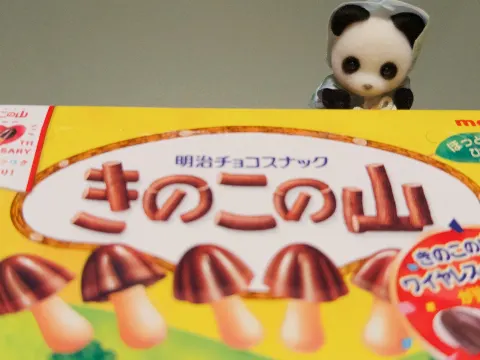 宮地 すみれ｜人は鏡（2025-08-15）｜3枚目