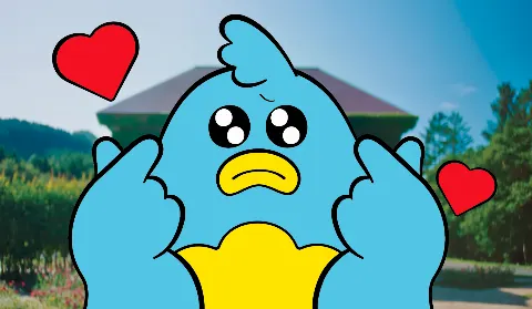 ポカ｜あなたのねがいかなえます（2025-10-08）