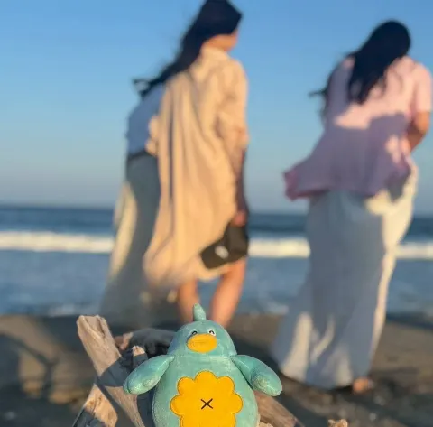 ポカ｜あなたのねがいかなえます（2025-10-08）｜5枚目