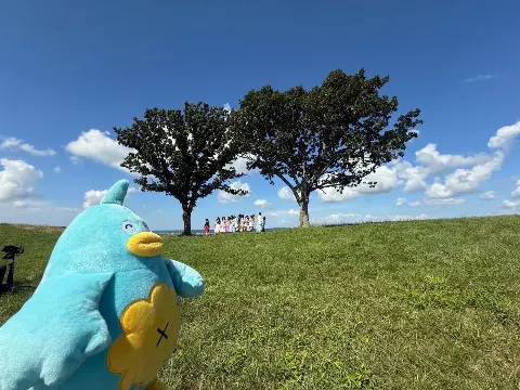 ポカ｜あなたのねがいかなえます（2025-10-08）｜8枚目