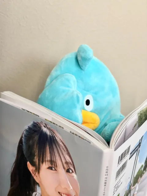 ポカ｜かわたのしゃしんしゅうみてみた（2025-11-13）｜3枚目
