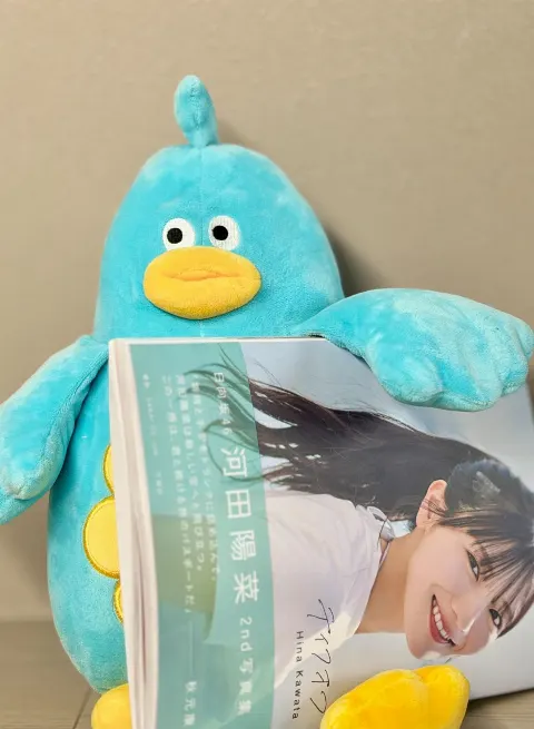 ポカ｜かわたのしゃしんしゅうみてみた（2025-11-13）｜6枚目
