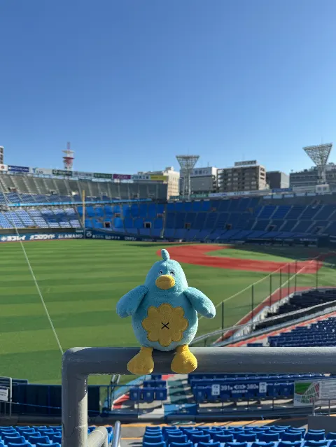 ポカ｜※ちょうぶんしつれい（2026-01-26）｜8枚目